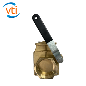 Brass 4" Gate Valve with Flange, NPT
